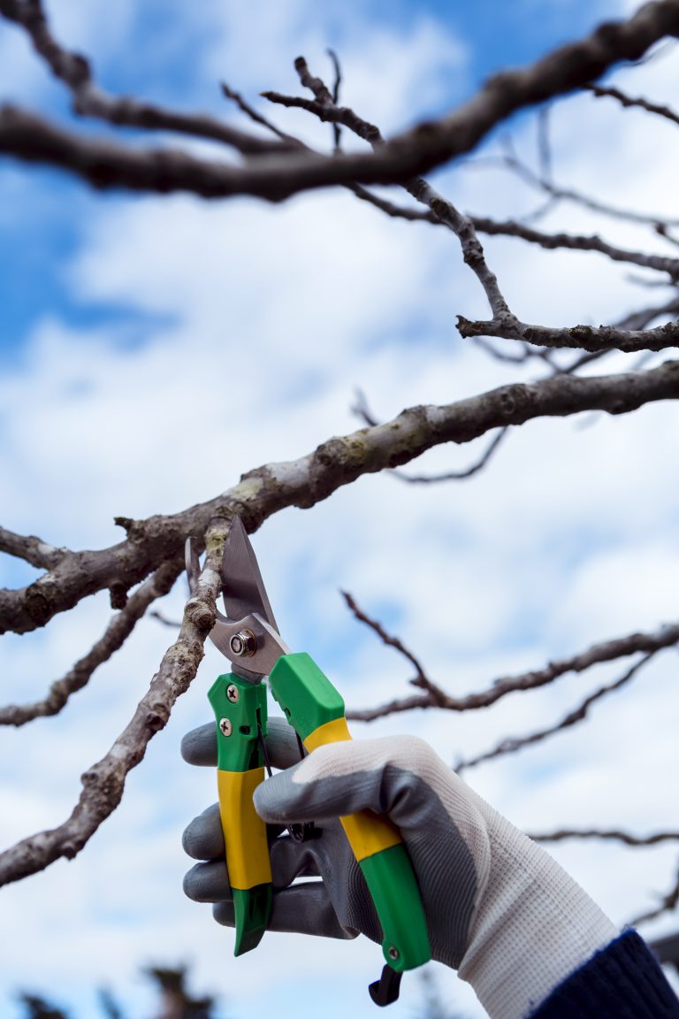 Mendez Tree Services team at work